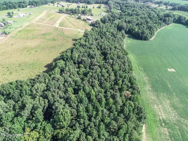 $103,000 | 247 Woods Road, Pope, MS 38658