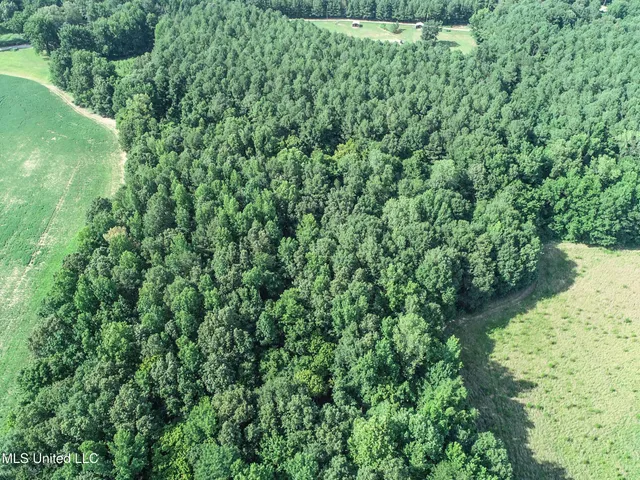 $103,000 | 247 Woods Road, Pope, MS 38658