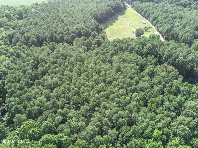 $103,000 | 247 Woods Road, Pope, MS 38658