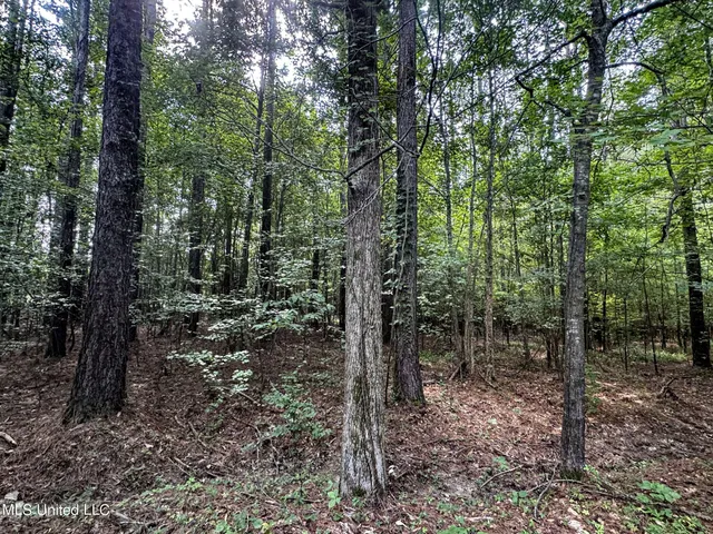 $103,000 | 247 Woods Road, Pope, MS 38658