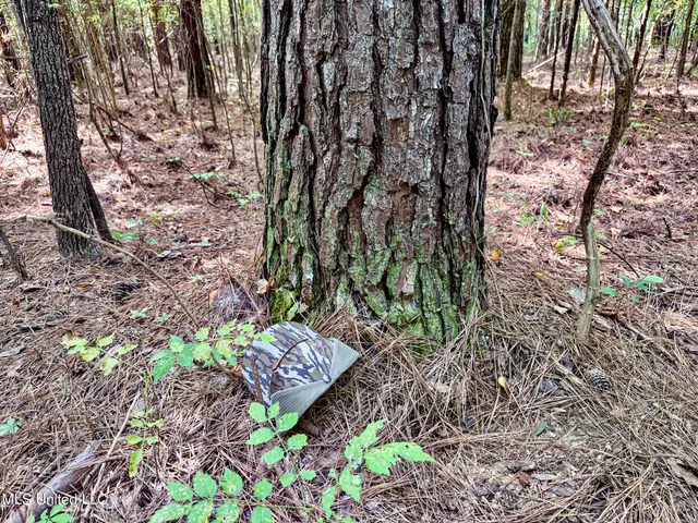 $103,000 | 247 Woods Road, Pope, MS 38658