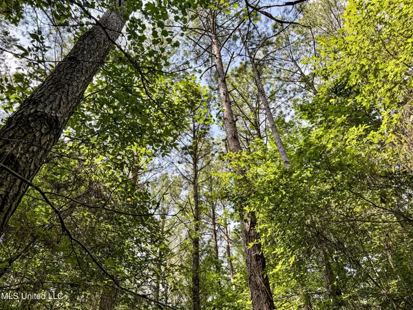 $98,000 | 247 Woods Road, Pope, MS 38658
