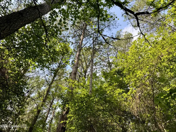 $98,000 | 247 Woods Road, Pope, MS 38658