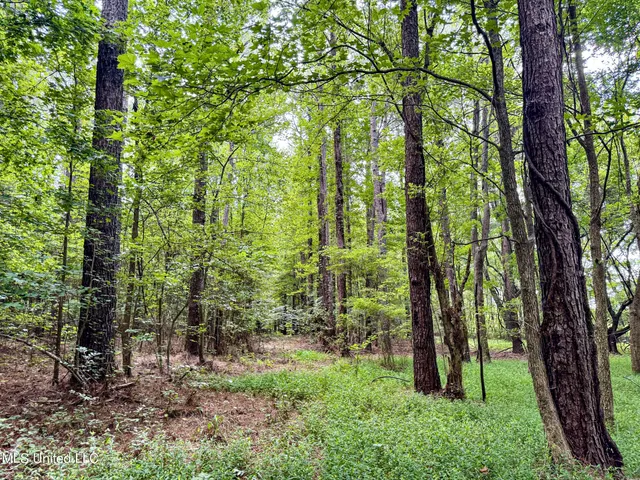 $103,000 | 247 Woods Road, Pope, MS 38658