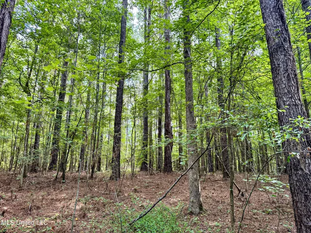 $103,000 | 247 Woods Road, Pope, MS 38658