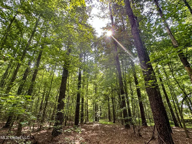 $103,000 | 247 Woods Road, Pope, MS 38658