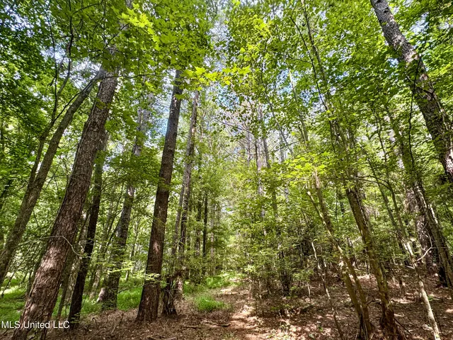 $103,000 | 247 Woods Road, Pope, MS 38658