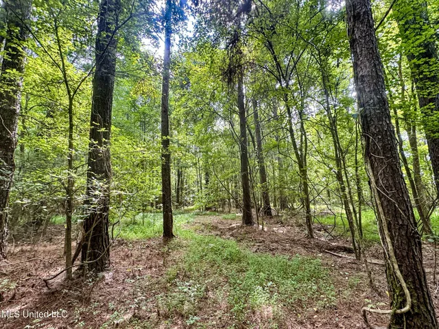 $103,000 | 247 Woods Road, Pope, MS 38658