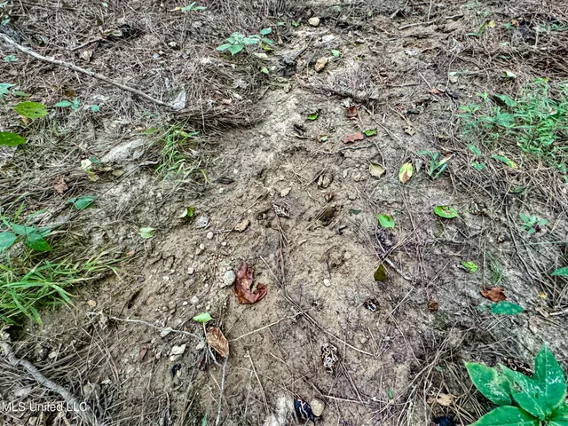 $103,000 | 247 Woods Road, Pope, MS 38658