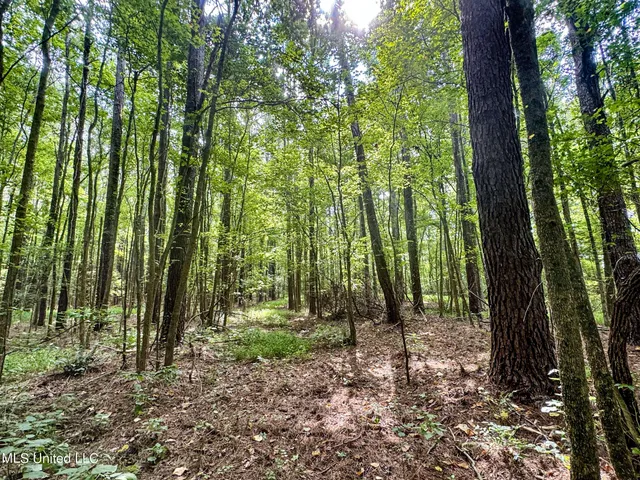 $103,000 | 247 Woods Road, Pope, MS 38658