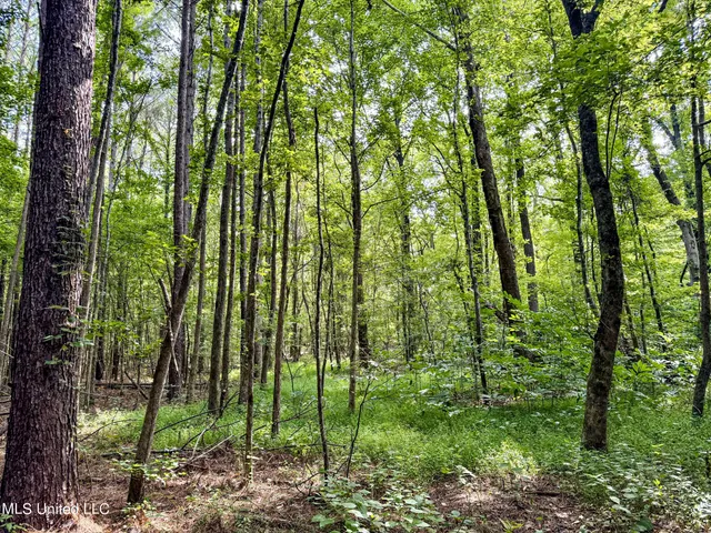 $103,000 | 247 Woods Road, Pope, MS 38658