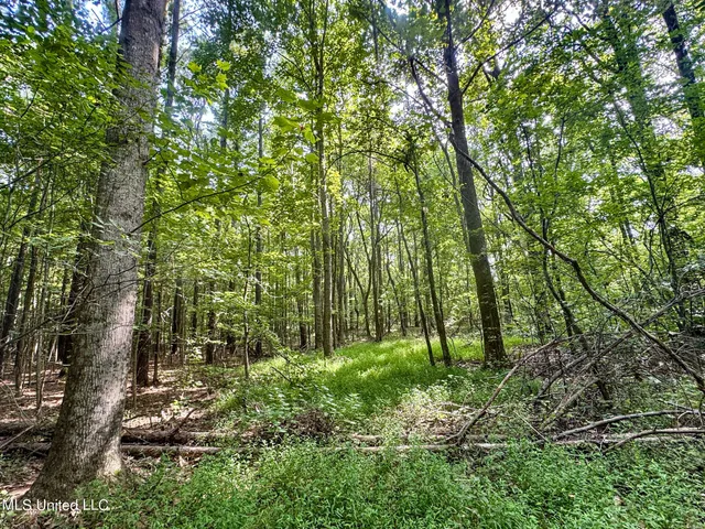 $103,000 | 247 Woods Road, Pope, MS 38658