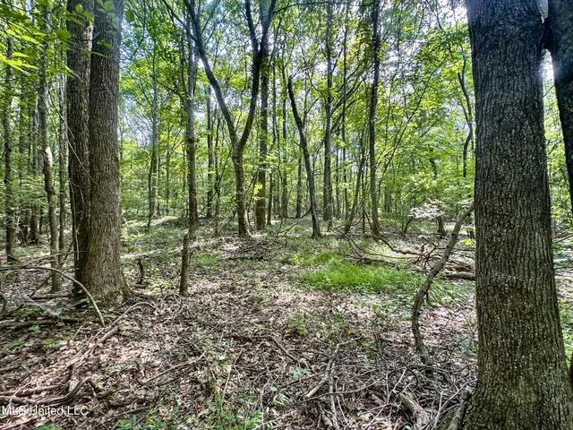 $103,000 | 247 Woods Road, Pope, MS 38658
