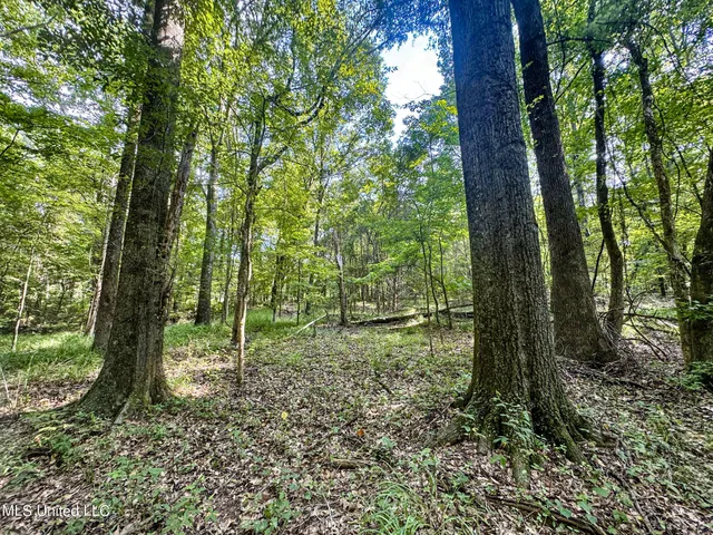 $103,000 | 247 Woods Road, Pope, MS 38658