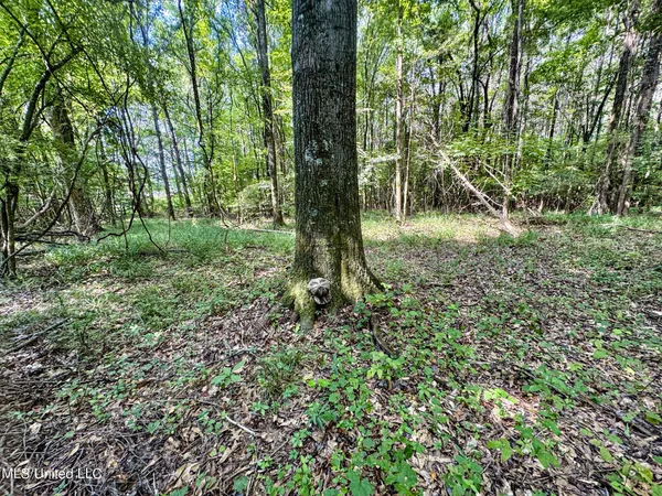 $98,000 | 247 Woods Road, Pope, MS 38658