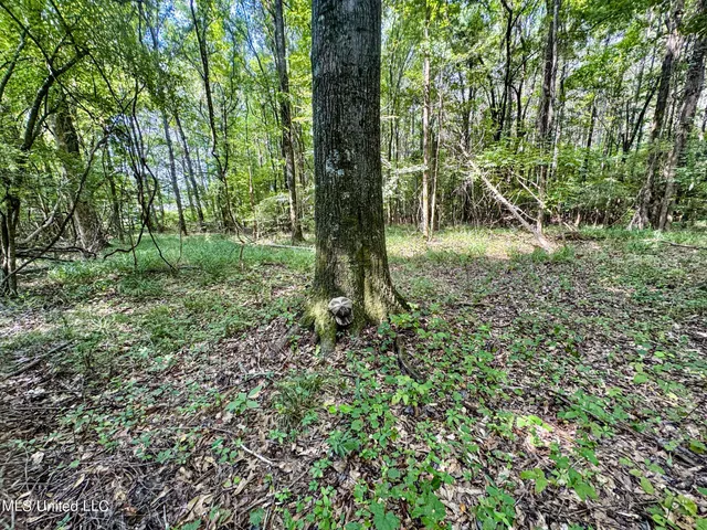 $103,000 | 247 Woods Road, Pope, MS 38658