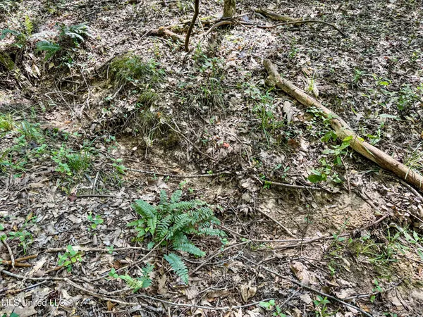 $98,000 | 247 Woods Road, Pope, MS 38658