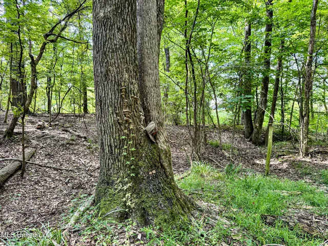 $103,000 | 247 Woods Road, Pope, MS 38658