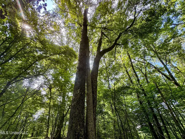 $103,000 | 247 Woods Road, Pope, MS 38658