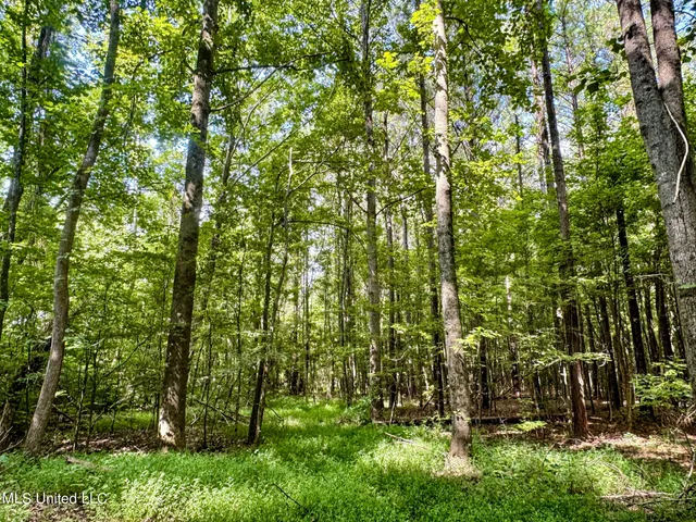$103,000 | 247 Woods Road, Pope, MS 38658