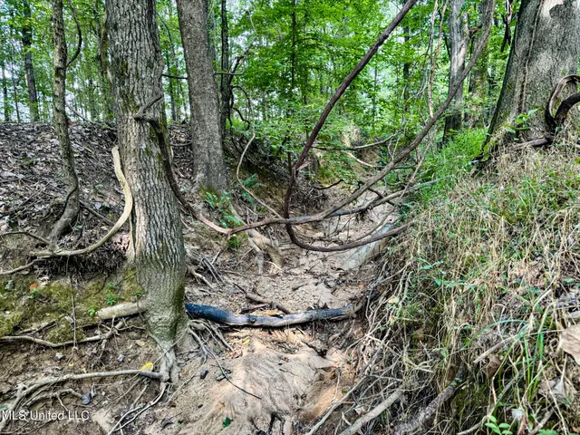 $103,000 | 247 Woods Road, Pope, MS 38658