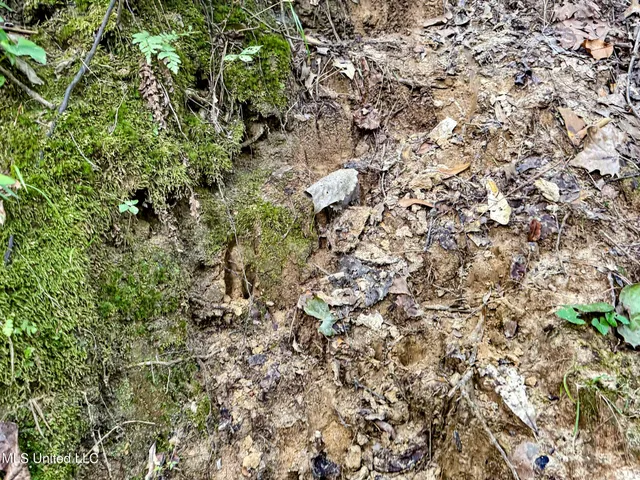 $103,000 | 247 Woods Road, Pope, MS 38658