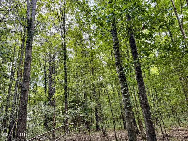 $103,000 | 247 Woods Road, Pope, MS 38658