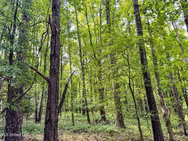 $103,000 | 247 Woods Road, Pope, MS 38658