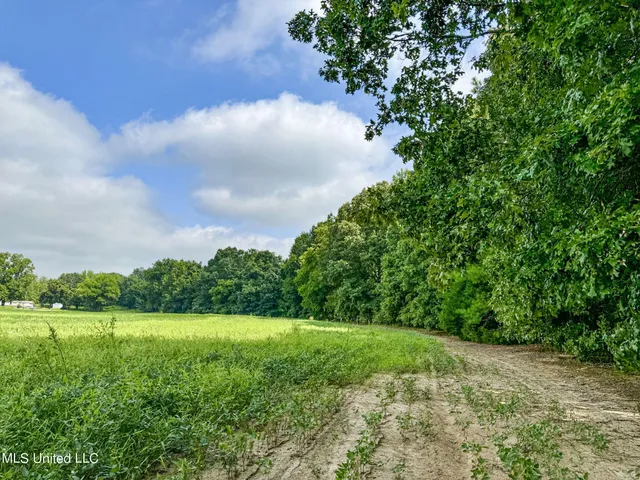 $103,000 | 247 Woods Road, Pope, MS 38658