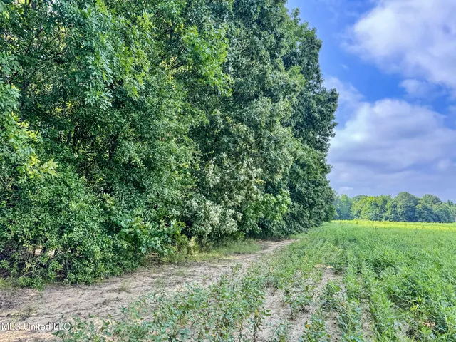 $103,000 | 247 Woods Road, Pope, MS 38658