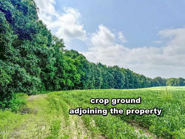 $103,000 | 247 Woods Road, Pope, MS 38658