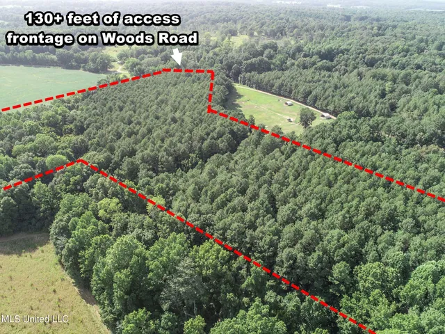 $103,000 | 247 Woods Road, Pope, MS 38658