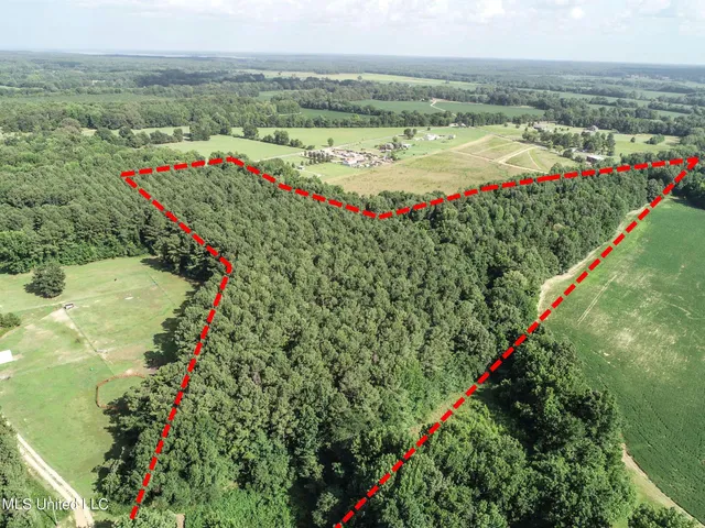 $103,000 | 247 Woods Road, Pope, MS 38658