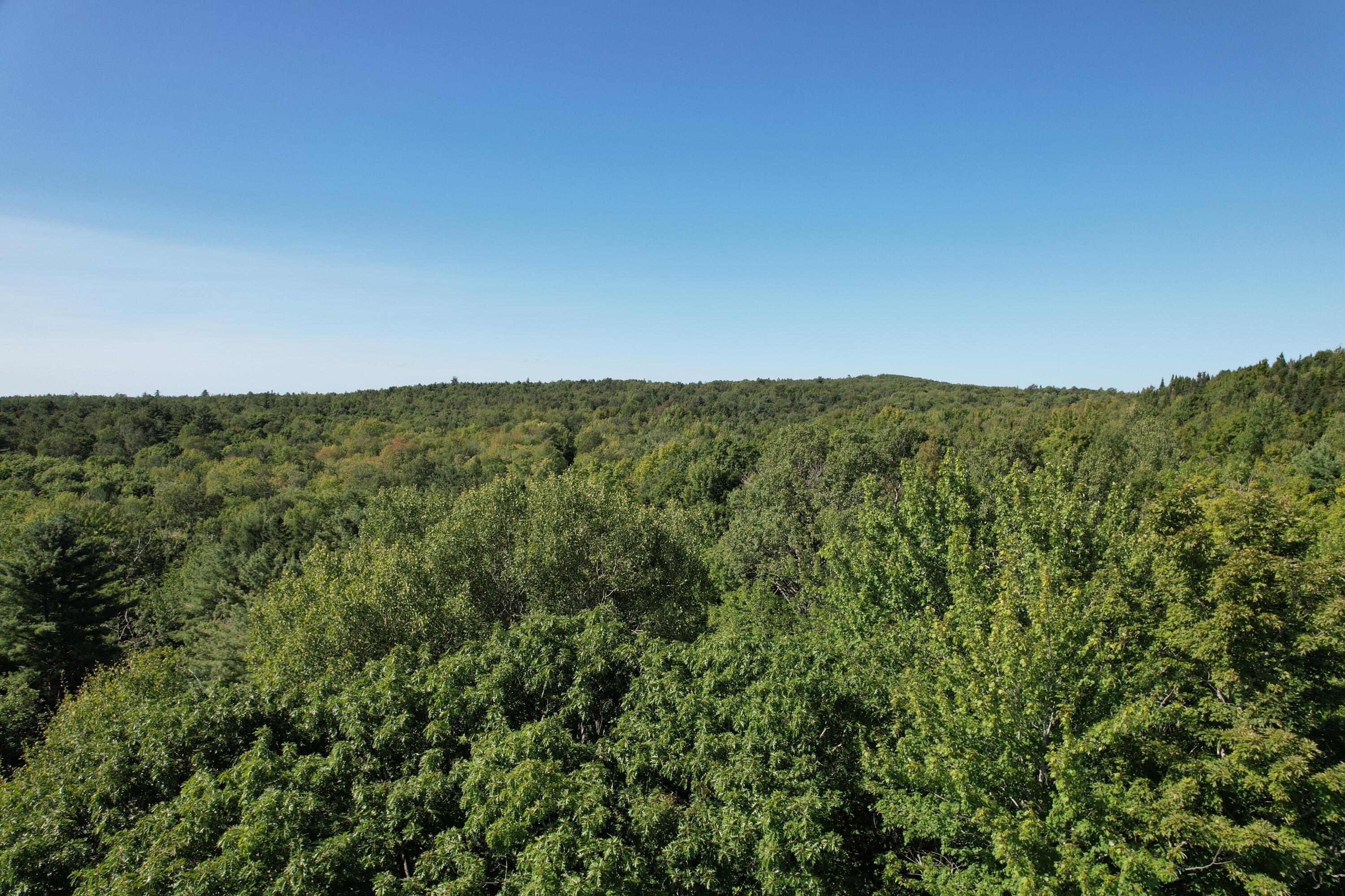 DJI_0046