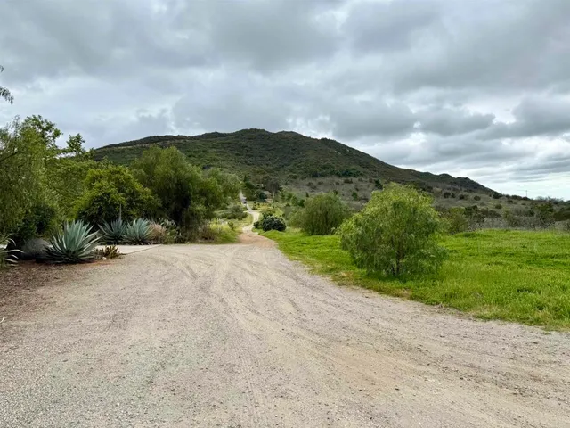a view of a pathway with a garden