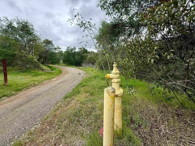 a view of a garden with a fountain