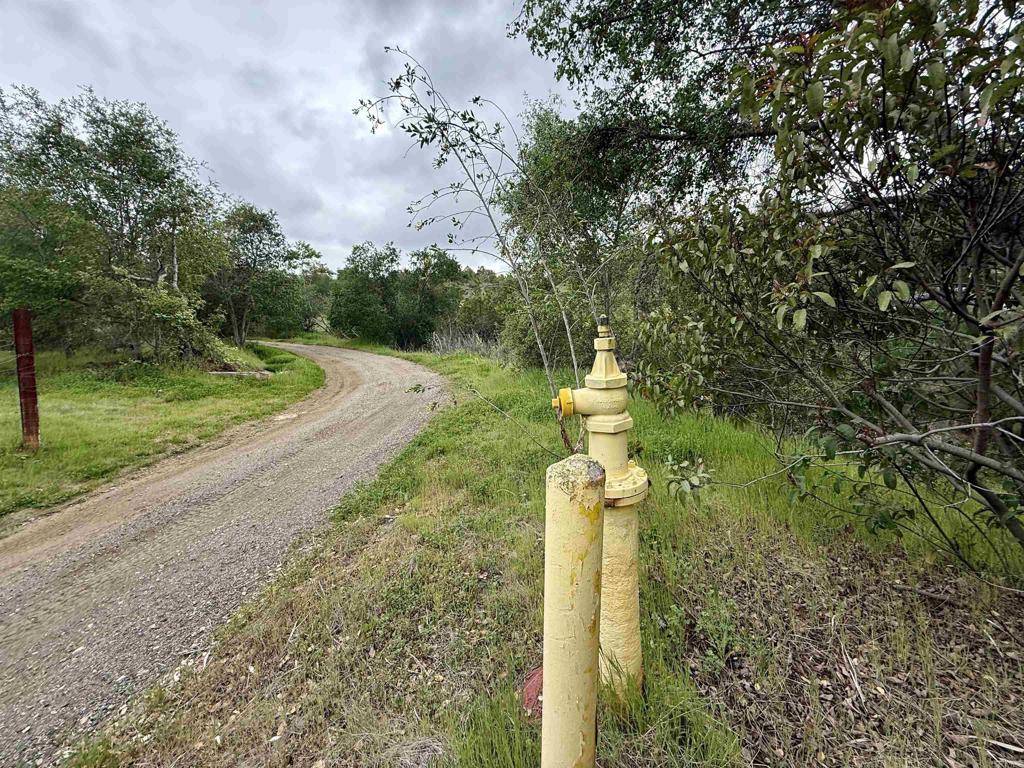 0 Alex Road Fallbrook, CA 92028 - Photo 15 of 29 a view of a garden with a fountain