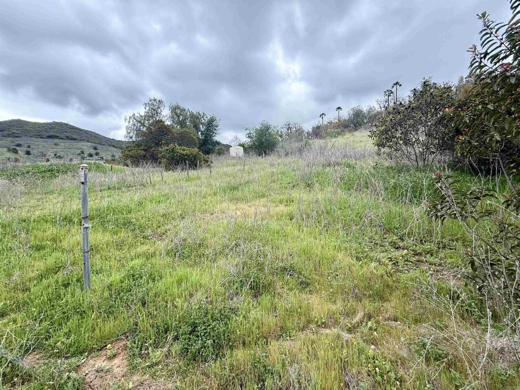 0 Alex Road Fallbrook, CA 92028 - Photo 18 of 29 a view of a field of grass and trees