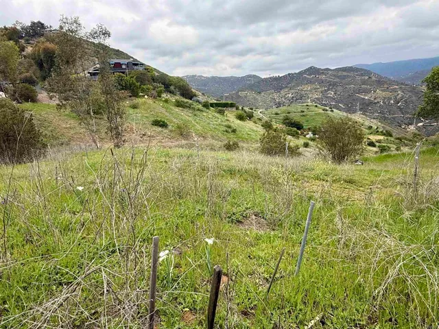 a view of a lush green field with mountains in the background