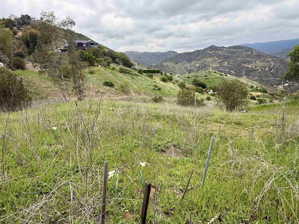 0 Alex Road Fallbrook, CA 92028 - Photo 21 of 29 a view of a lush green field with mountains in the background