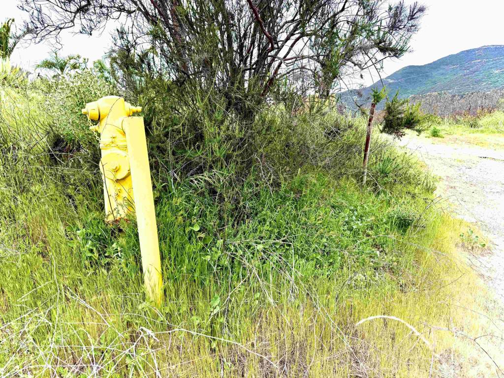 0 Alex Road Fallbrook, CA 92028 - Photo 28 of 29 a building with trees in the background