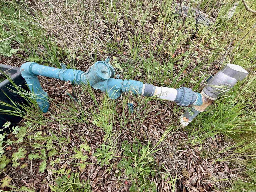 0 Alex Road Fallbrook, CA 92028 - Photo 9 of 29 a view of a tree in a garden