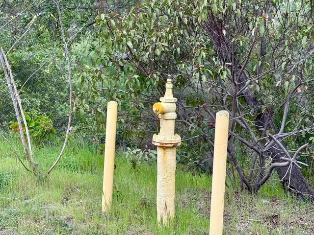 a view of statue in a garden