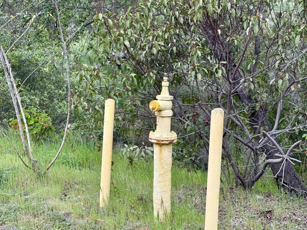 0 Alex Road Fallbrook, CA 92028 - Photo 10 of 29 a view of statue in a garden