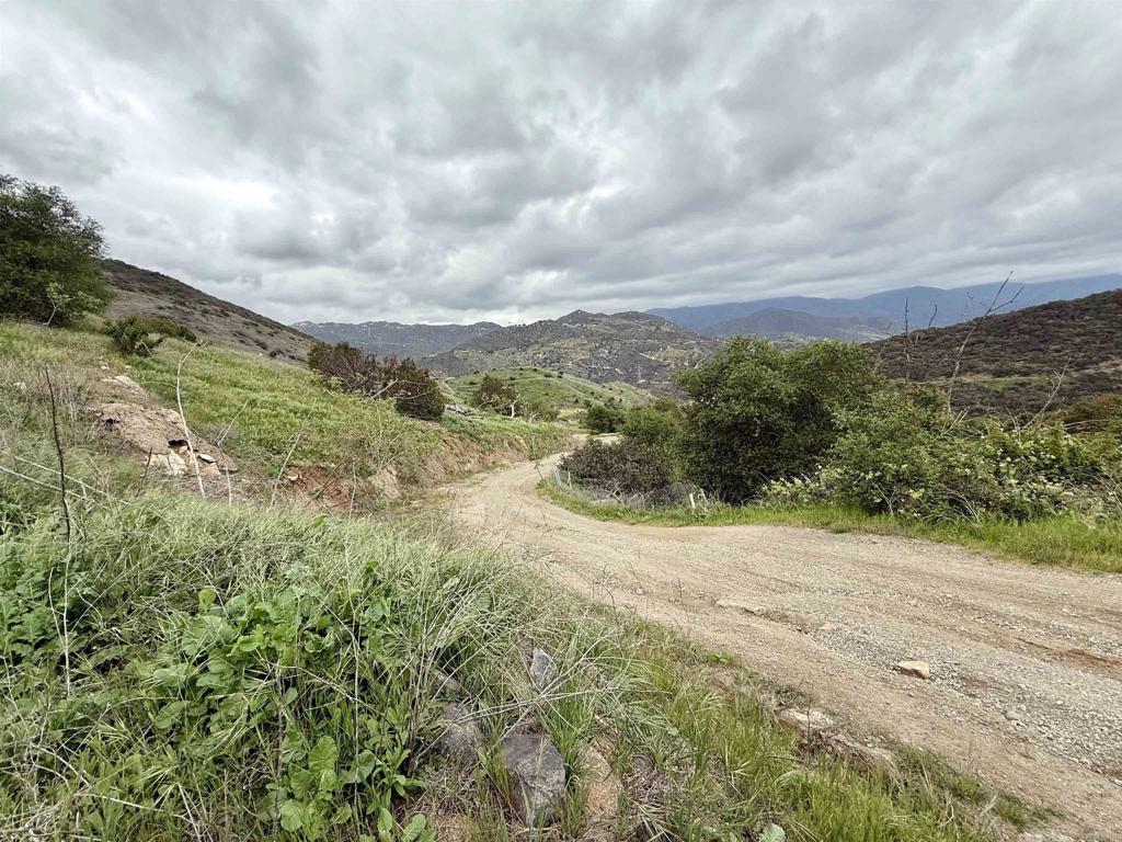 0 Alex Road Fallbrook, CA 92028 - Photo 10 of 29 a view of a pathway both side of grassy field with shrub