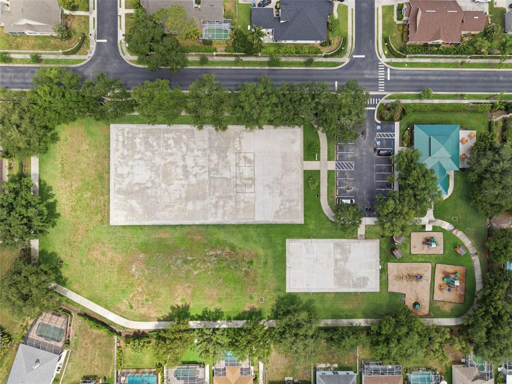 1623 Crossvine Court Trinity, FL 34655 - Photo 54 of 56