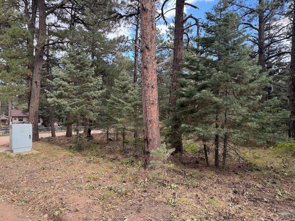 6-7 Robin Hood Trail Rye, CO 81069 - Photo 1 of 15