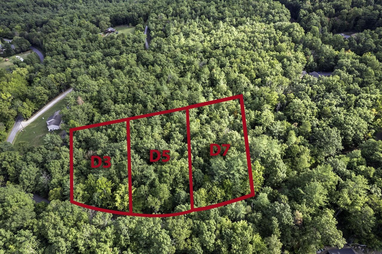 Lot D3 Holiday Hill Road Luray, VA 22835 - Photo 2 of 32