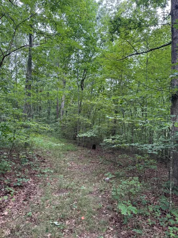 $150,000 | 0 Tatum Gulf Road, Menlo, GA 30731