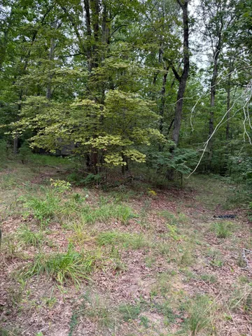 $150,000 | 0 Tatum Gulf Road, Menlo, GA 30731